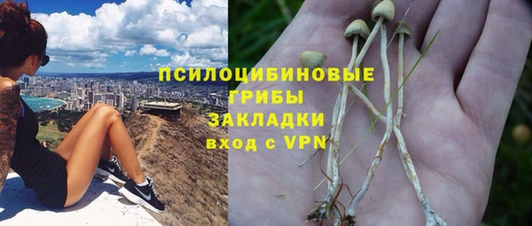 альфа пвп Дмитриев