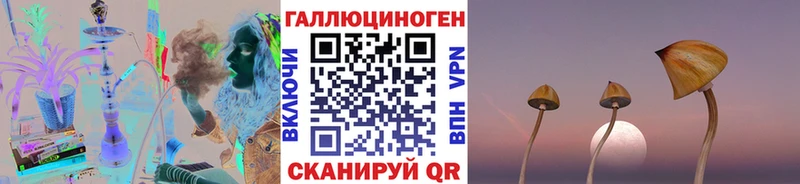 ОМГ ОМГ ссылки  Елизово  Псилоцибиновые грибы мухоморы 